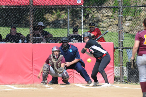 Cal Times Athlete Spotlight