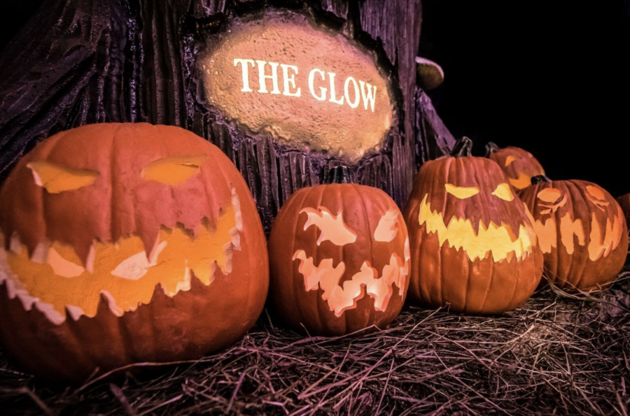 The Glow: A Jack-o-Lantern Experience