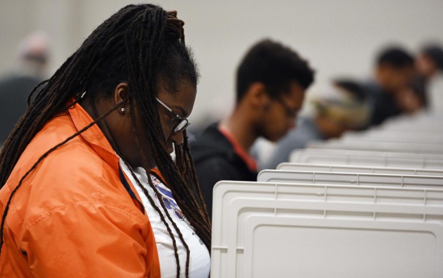 People cast their ballots ahead of the Nov. 6, general election at Jim Miller Park, in Marietta, Ga.