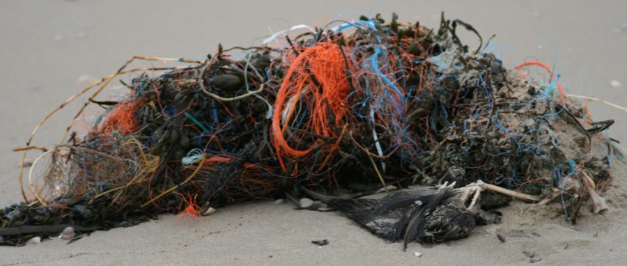 How Plastic is Ruining our Oceans