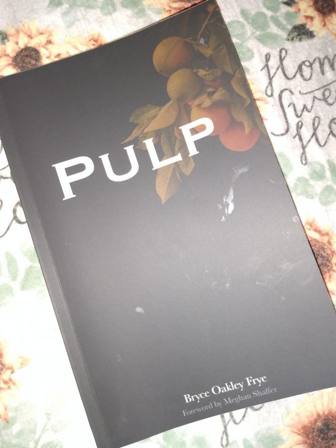 Pulp is about desire. The word is never used in the poems themselves. The collection aims to put readers in the driver seat of desire and navigates them through the chase.