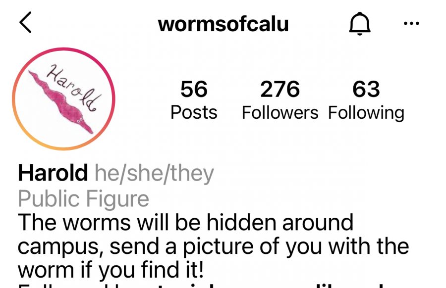 Profile+page+of+the+Instagram+account+wormsofcalu%2C+Oct.+19%2C+2021
