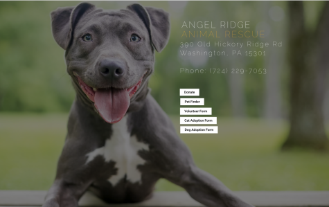 The website homepage of the Angel Ridge Animal Rescue, Washington, Pa., Nov. 18, 2021.