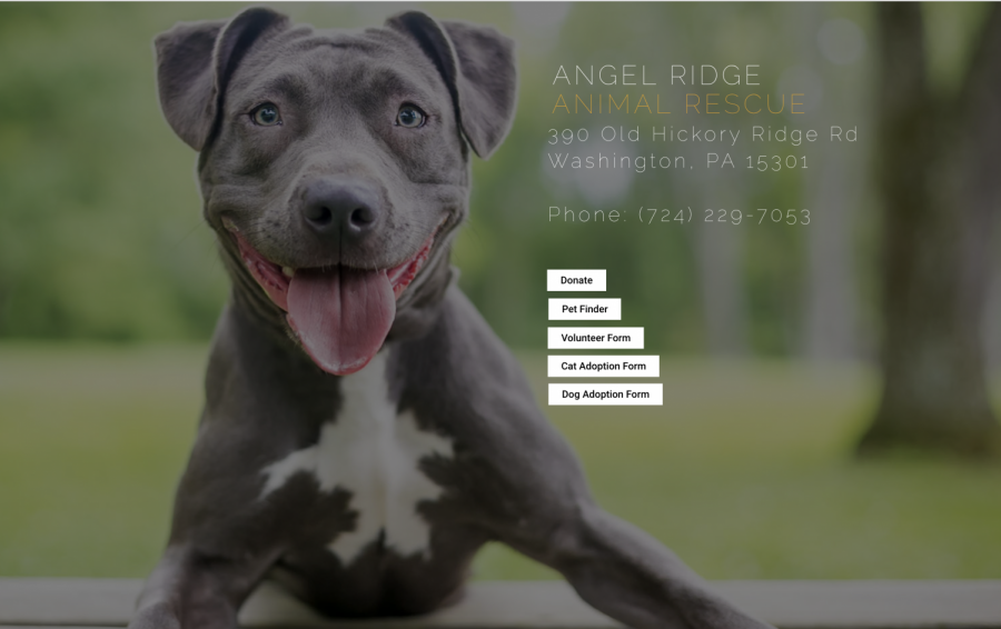 The website homepage of the Angel Ridge Animal Rescue, Washington, Pa., Nov. 18, 2021.
