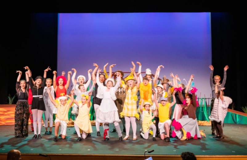 The Mon Valley Performing Arts Academy during last years production of Honk Jr.