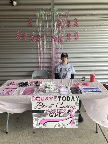 Vulcans Womens Soccer Breast Cancer Awareness Game