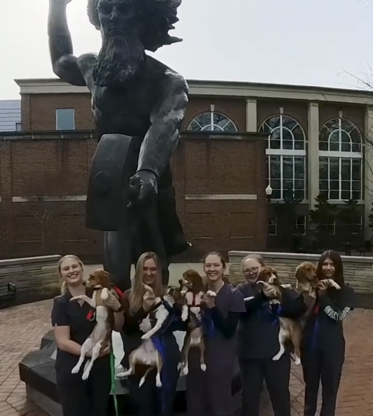 The Vet Tech Program with their Beagles